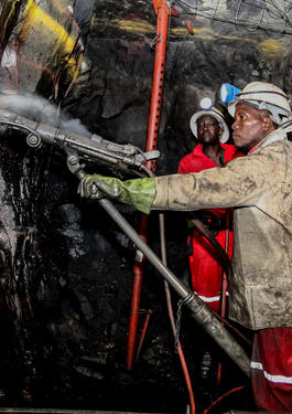 bureau veritas Mineralogy  mining services