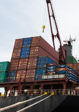 bureau veritas preshipment inspection (voluntary)